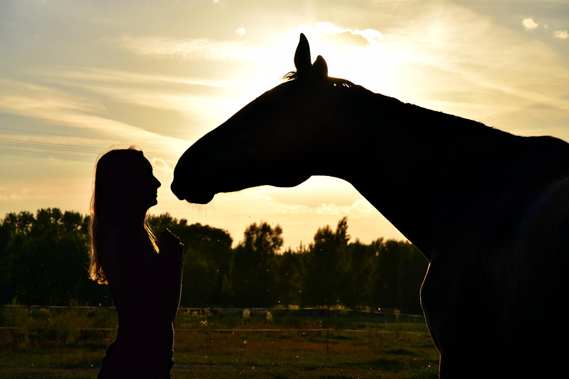 How Do Our Emotions Affect Our Horse?